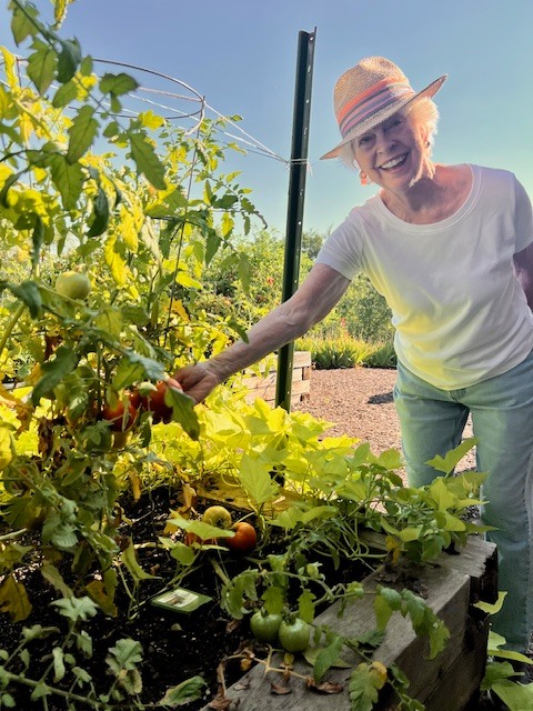 a woman tending to the community Garden